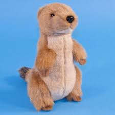 Plush Prarie Dog Soft Toy Soft Toys Blue Frog Toys Soft Toy Dog Soft Toy Animals Prarie Dog