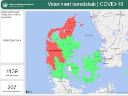 A chance to make time for each other. Coronavirus Mutato Nei Visoni In Danimarca Isolamento Per 280mila Persone Corriere It