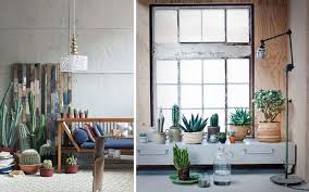 Los cactus son unas plantas muy duras pero que requieren de unos cuidados concretos. Ideas Para Decorar Con Cactus