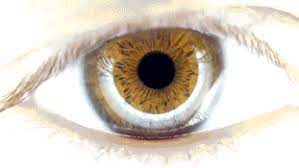 Alok melok is on facebook. Gif Hd Comentarios Comments Animated Gif On Gifer By Zukazahn