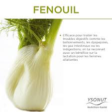 Le Fenouil Qu Il Ne Manque Pas Dans Votre Cuisine Aliments Bons Pour La Sante Alimentation Et Sante Remedes Naturels