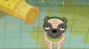 We rescue pets of all breeds, ages, and sizes. Zoltron Pound Puppies Puppy Clipart Best Dog Breeds