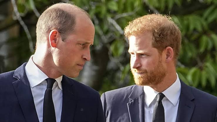 Grabbed me by the collar': Prince Harry claims William knocked him to the  floor in dispute | SBS News