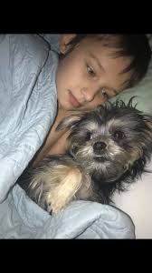 When those little boogers take over your bed, what do you do?