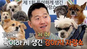 코바늘인형 amigurumi 숀 shaun the sheep part3