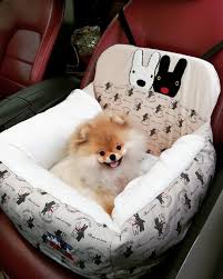 My Pomeranian Frappe Dogcarseat Dog Car Seats Plastic Laundry Basket Laundry Basket