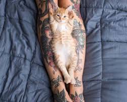 4.0 out of 5 stars 32. Hannah Shaw The Kitten Lady Tattoo Ideas Artists And Models