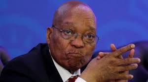 All the latest zuma news, sales, achievements, videos and screenshots. Zuma News The Latest News From Trt World