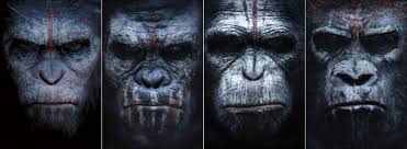 Image result for planet of the apes