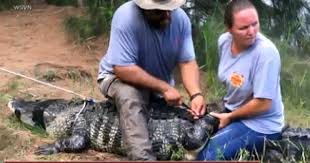Florida Alligator Attack Victim Shizuka Matsukis
