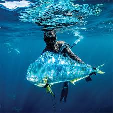 Andrew bay, deer point lake, west bay, east bay, crooked island sound, fort walton beach, miramar, destin, seaside, crooked island, beacon beach. Anglers Turn To Spearfishing To Catch That Elusive Fish Tallahassee Magazine