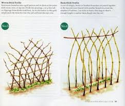 Pea Wando Sfseedlibrary Pea Trellis Garden Trellis Trellis