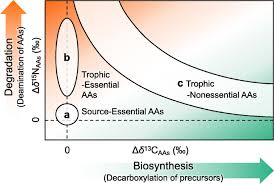 A New Insight Into Isotopic Fractionation Associated With Decarboxylation In Organisms Implications For Amino Acid Isotope Approaches In Biogeoscience Progress In Earth And Planetary Science Full Text