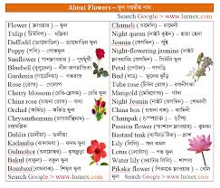Gardening tips | flower wiki. Topic Based Vocabulary About Flowers à¦« à¦² à¦¸à¦® à¦¬à¦¨ à¦§ à¦¯ à¦¨ à¦® Lurnex