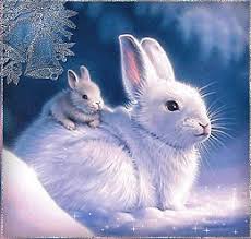 Lapinous Animated Animals Cute Animals Baby Animals