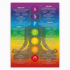 It is our tap root. Chakra Chart Poster 7 Chakras Modern Crystals Chakra Yoga Spiritual Artwork Reiki Infographic Energy Healing Meditation Art 12x16 Inches Buy Online In Indonesia At Desertcart Id Productid 167466028