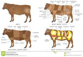 beef chart stock vector illustration of loin barbecue