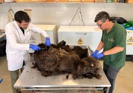 Janiece and isaiah onlyfans Vou te ajudar.