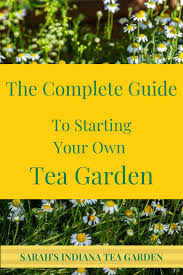 The Complete Guide To Starting Your Own Tea Garden Herbal Tea Garden Tea Garden Spice Garden