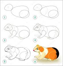 For boys and girls, kids and adults, teenagers and toddlers, preschoolers and older kids at school. Educational Page For Kids Shows How To Learn Step By Step To Draw A Cute Guinea Pig Back To School Developing Children Skills For Drawing And Coloring Vector Cartoon Image Premium