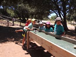 Our selection of commercial grade 12 or 16 foot tables will keep your kids busy for hours with this awesome game! Carpetball Whispering Winds
