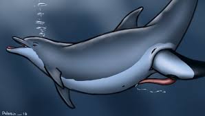 Commerson S Dolphin hentai videos, GIFs, and images | R34.app