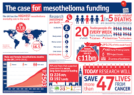 In fact, mesothelioma law and settlements comprise a fraction of the litigation surrounding asbestos law. The Case For Mesothelioma Research Funding
