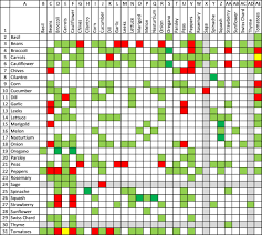 Build A Comparison Chart