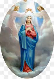 This holy day marks the occasion of the virgin mary's bodily ascent to heaven at the end of her life. Virgin Mary Png Blessed Virgin Mary Catholic Virgin Mary Virgin Mary Outline Virgin Mary Rosary Cleanpng Kisspng