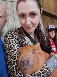 Happy new year featuring the cutest new years micropiggies ! 🎇