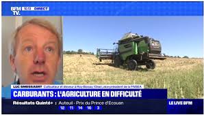 Camille Ball (@Camille_LcBall)