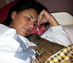 Galerías de fotos: VI CONCURSO DE FOTOGRAFÍA Canina Murciana: Web oficial  de la sociedad canina de murcia.