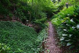 Gardening For Wildlife With Irvin And Pauline In California Finegardening Fine Gardening Garden Elements Garden Paths