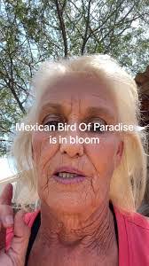 Karla Daily's Instagram, Twitter & Facebook