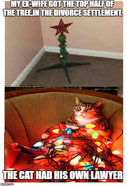 Now, cat lawyer memes are flooding twitter. Happy Holidays Anyway Imgflip