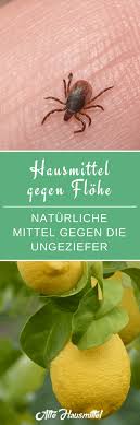 Hausmittel Gegen Flohe Naturliche Mittel Gegen Die Ungeziefer Hausmittel Gegen Flohe Hausmittel Ungeziefer