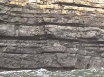 Image result for what are turbidites? course hero