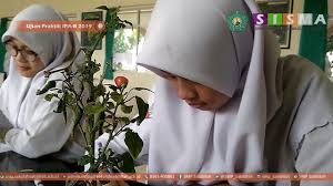 We did not find results for: Ujian Praktik Ipa Biologi Tahun 2019 Youtube