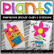 plants anchor chart crafitivity