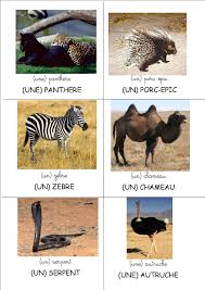 Loto Les Animaux D Afrique Crapouillot Montessori 6 Imagier Animaux Image Afrique Animaux Afrique