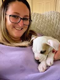 Have you met Lyndon? She is an adorable baby girl around 7 weeks old pup  with brains and beauty accepting applications for pre-adoption at  pittfriends.com