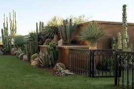 Desert Lush Phoenix Home Garden Outdoor Gardens Modern Garden Phoenix Homes