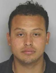 Authorities seize $566K in drugs, arrest Gainesville man