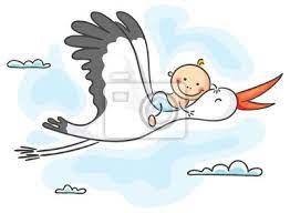 Stork is flying in the sky with baby above the city. Obraz Bocian Niosacy Dziecko Na Wymiar Narodziny Ladny Dziecko Redro Pl