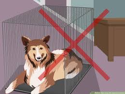 Before you begin treating a dog with separation anxiety, you should first rule out any medical problems, like arthritis pain or if dog separation anxiety at night happens all of a sudden, he says, take your dog to the veterinarian for a checkup. 3 Ways To Help A Dog With Separation Anxiety Wikihow Pet