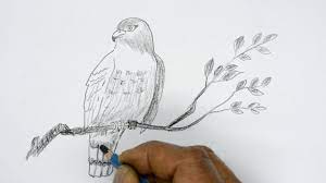 Pin On How To Draw