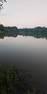 The beautiful Bouie River.. #countryboy #mississippi #nature #bouieriv...