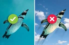 Challenge yourself (then, your friends) to take our ultimate trivia quiz. Animal Facts