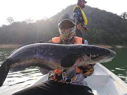 1,353 likes · 26 talking about this. Chalet Terapung Tasik Banding Photos Facebook
