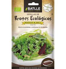 Brotes De Mostaza Blanca Ecologicos